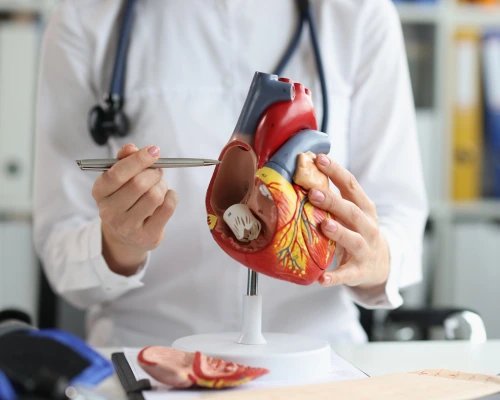 immagine cardiologo a domicilio